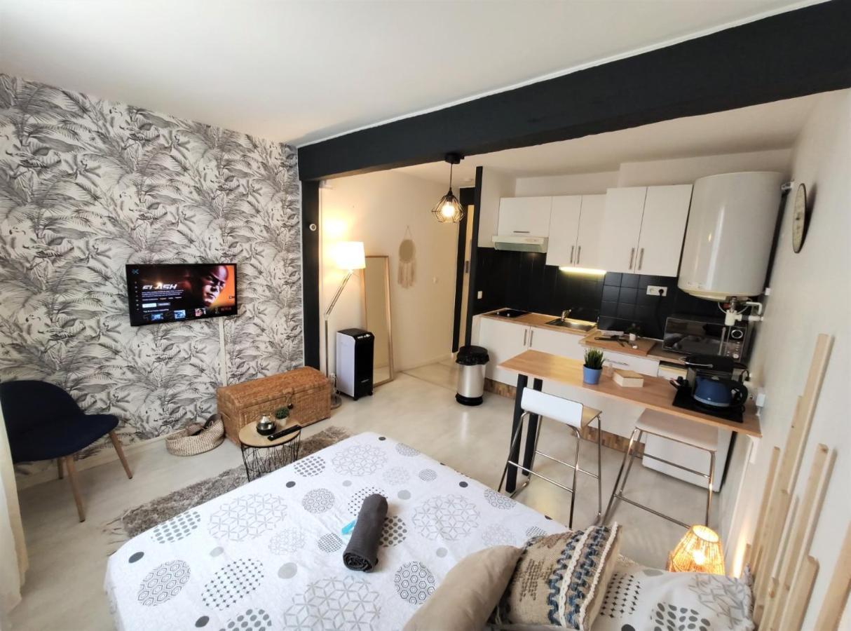 Le Jasmin Des Carmes - Hypercentre - Netflix Apartment Toulouse Exterior photo