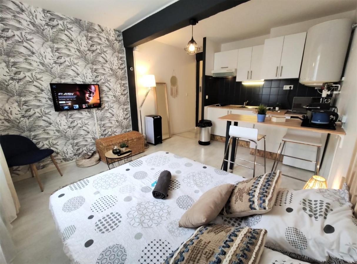 Le Jasmin Des Carmes - Hypercentre - Netflix Apartment Toulouse Exterior photo